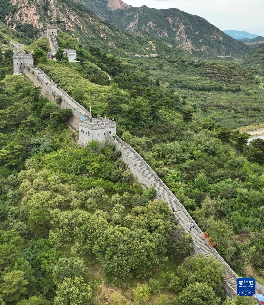 九线玛丽水果机 技巧